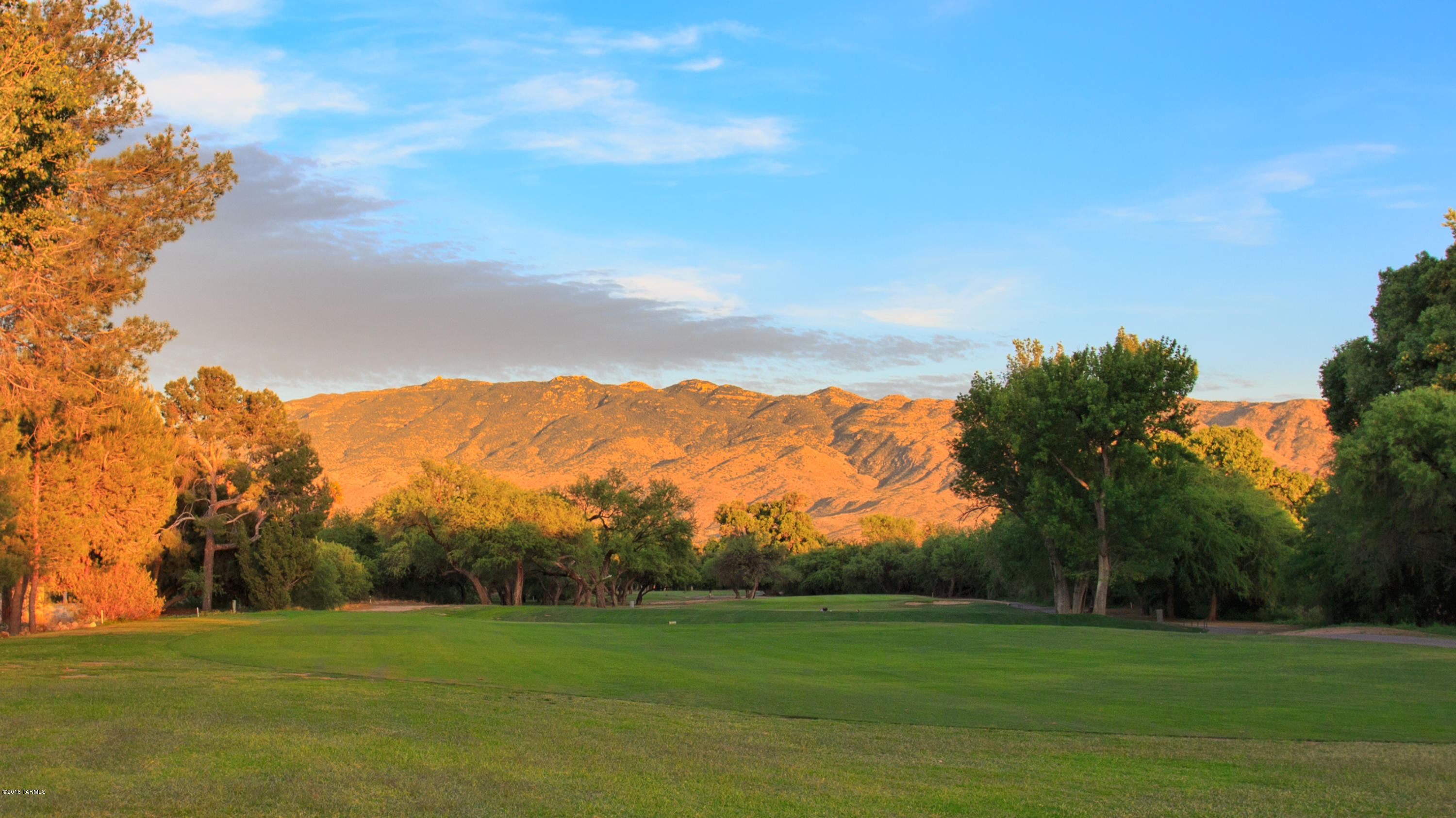 11826 East Wagon Trail Road Tucson, AZ 85749 - Photo 2 of 14