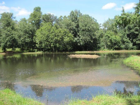 1158 Montpelier Springs Road Forsyth, GA 31029 - Photo 2 of 14 Additional Photo