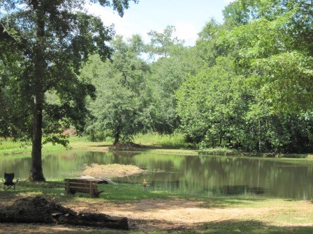 1158 Montpelier Springs Road Forsyth, GA 31029 - Photo 3 of 14 Additional Photo
