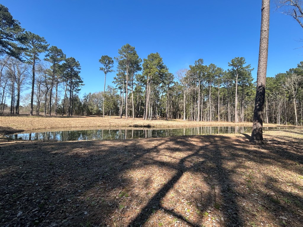 15-ac Webb Road Dothan, AL 36301 - Photo 25 of 33