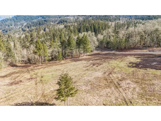 a black and white photo of a field