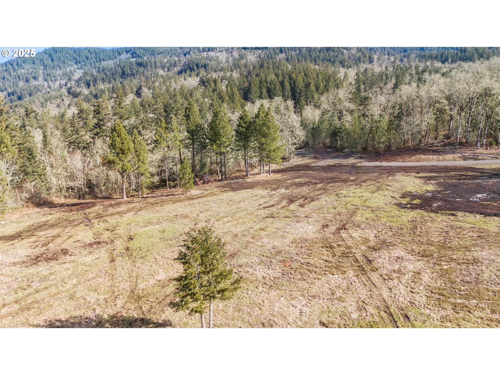 1 Lot Harrisburg, OR 97446 - Photo 2 of 6 a black and white photo of a field