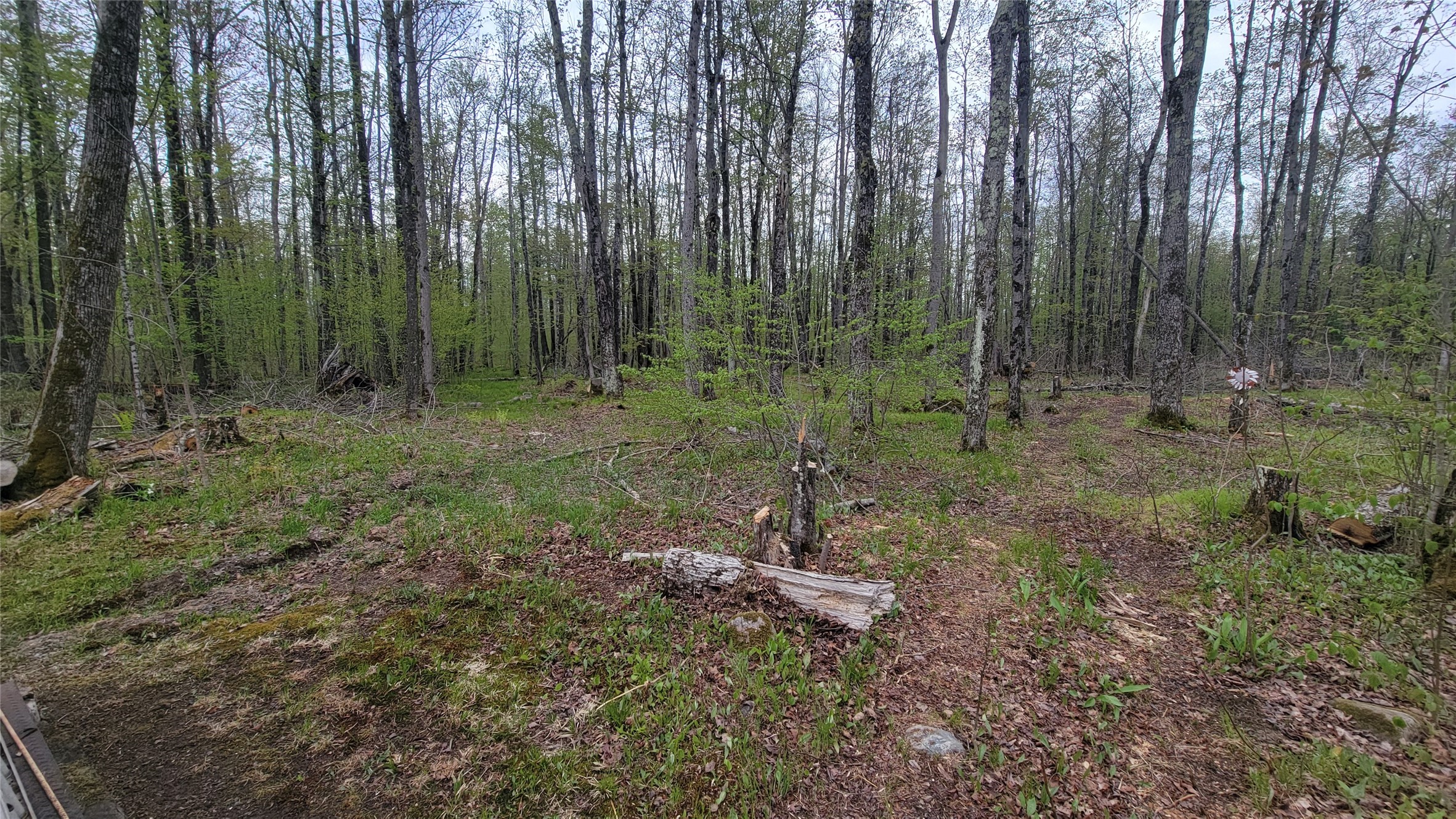 W10389 Fleming Road Park Falls, WI 54552 - Photo 19 of 29