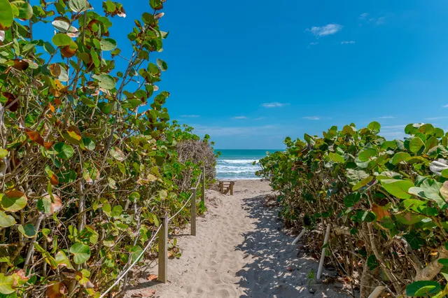 a view of a beach with an ocean view