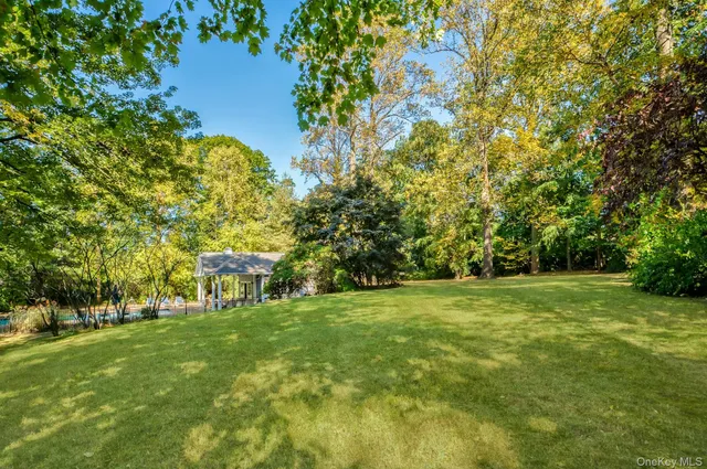 a view of a trees with a big yard