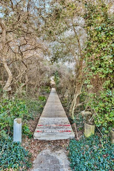178 Pelican Circle Inlet Beach, FL 32461 - Photo 34 of 61 a view of a pathway both side of yard