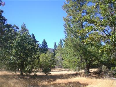 5577 West Side Road Cave Junction, OR 97523 - Photo 2 of 2 Additional Photo