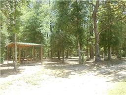 27732 Colapis Drive Splendora, TX 77372 - Photo 3 of 4 a view of a yard with a tree