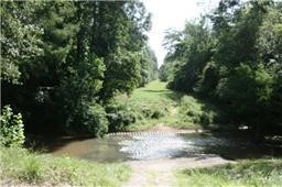 27732 Colapis Drive Splendora, TX 77372 - Photo 4 of 4 a view of a yard with plants and a bench