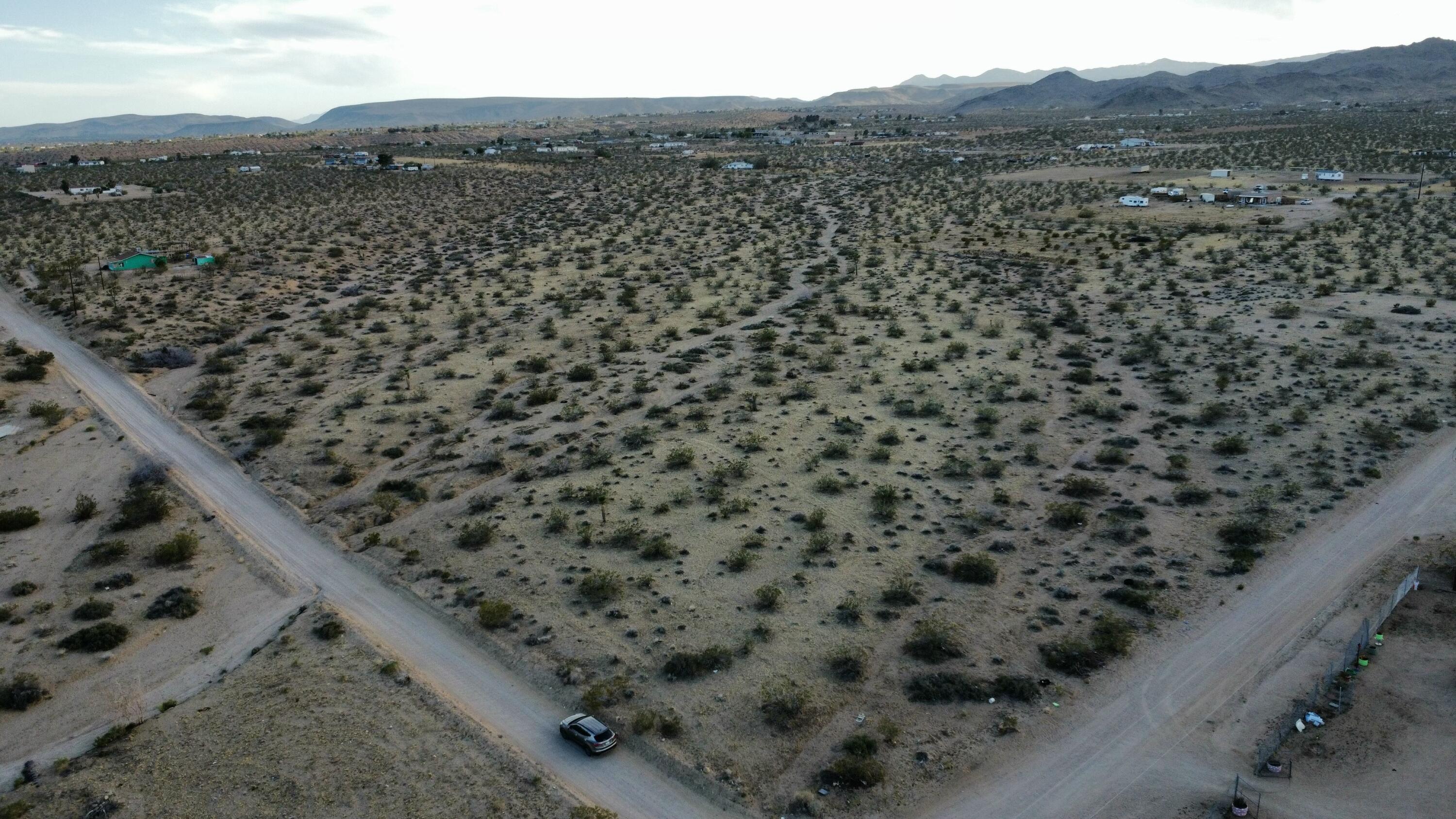 0 Mariquita Road Landers, CA 92285 - Photo 1 of 5 a view of a forest