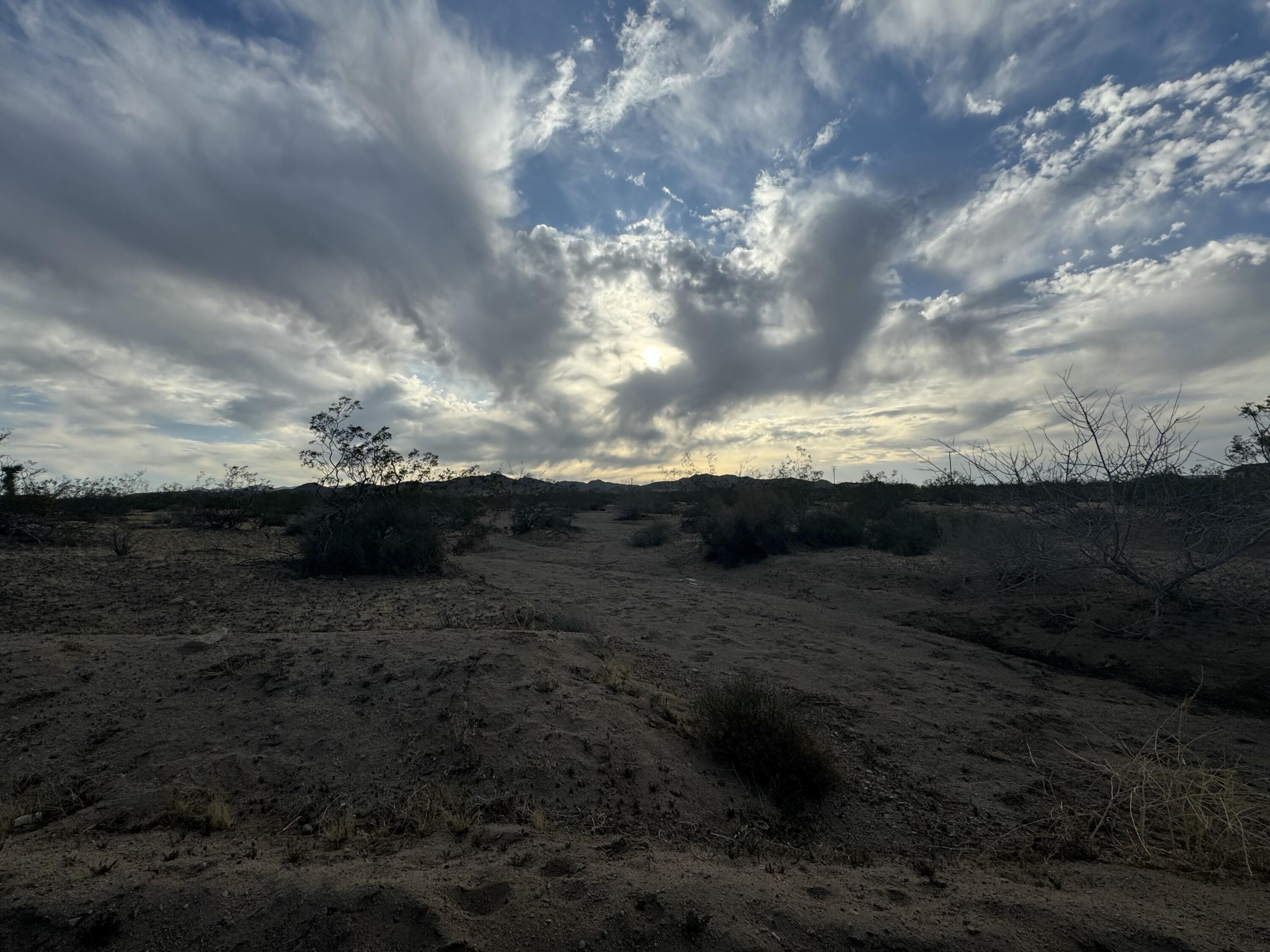0 Mariquita Road Landers, CA 92285 - Photo 3 of 5 a view of a dry yard with lots of trees