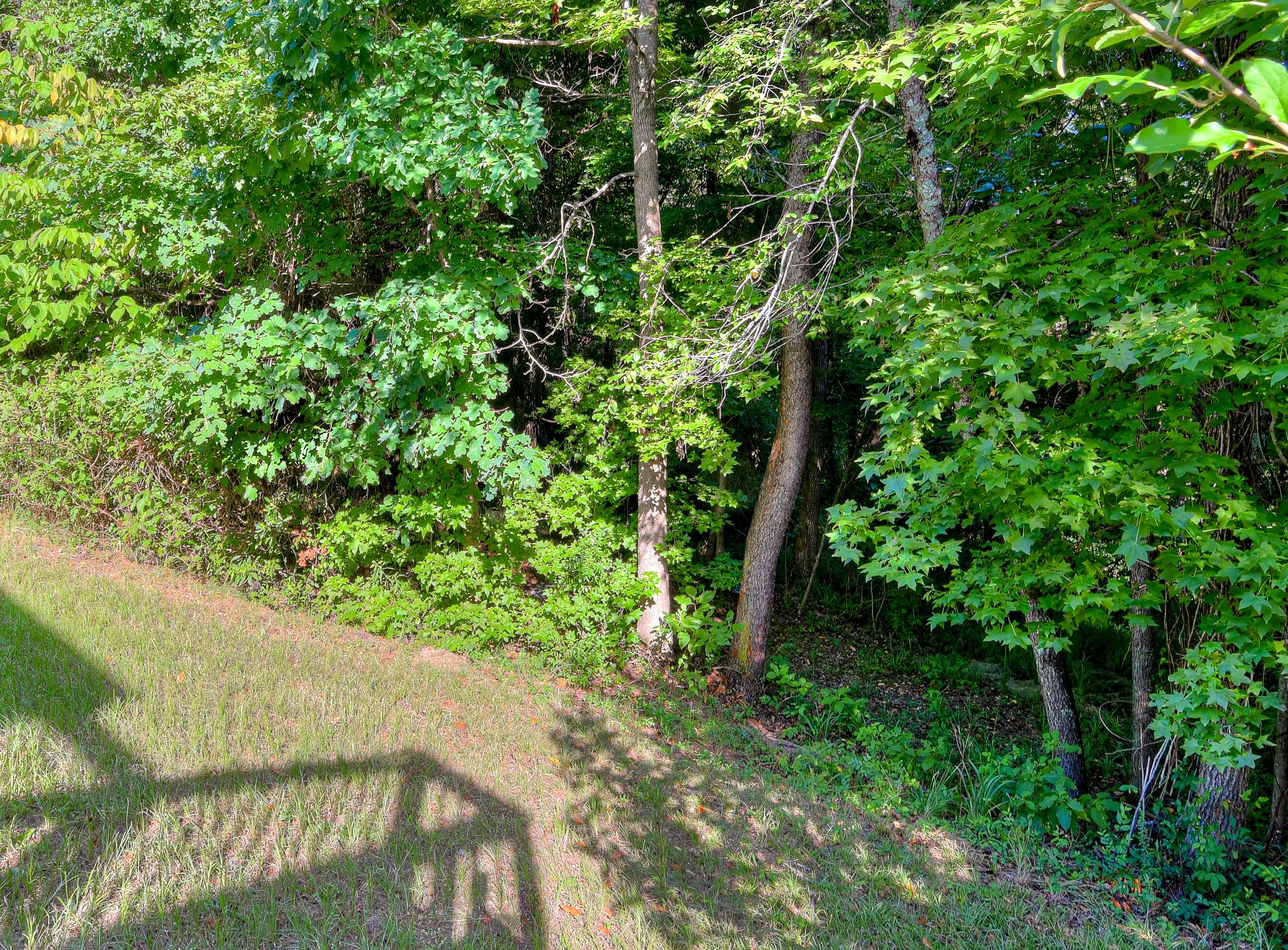 531 Stirling Bridge Road Grovetown, GA 30813 - Photo 26 of 27 back yard