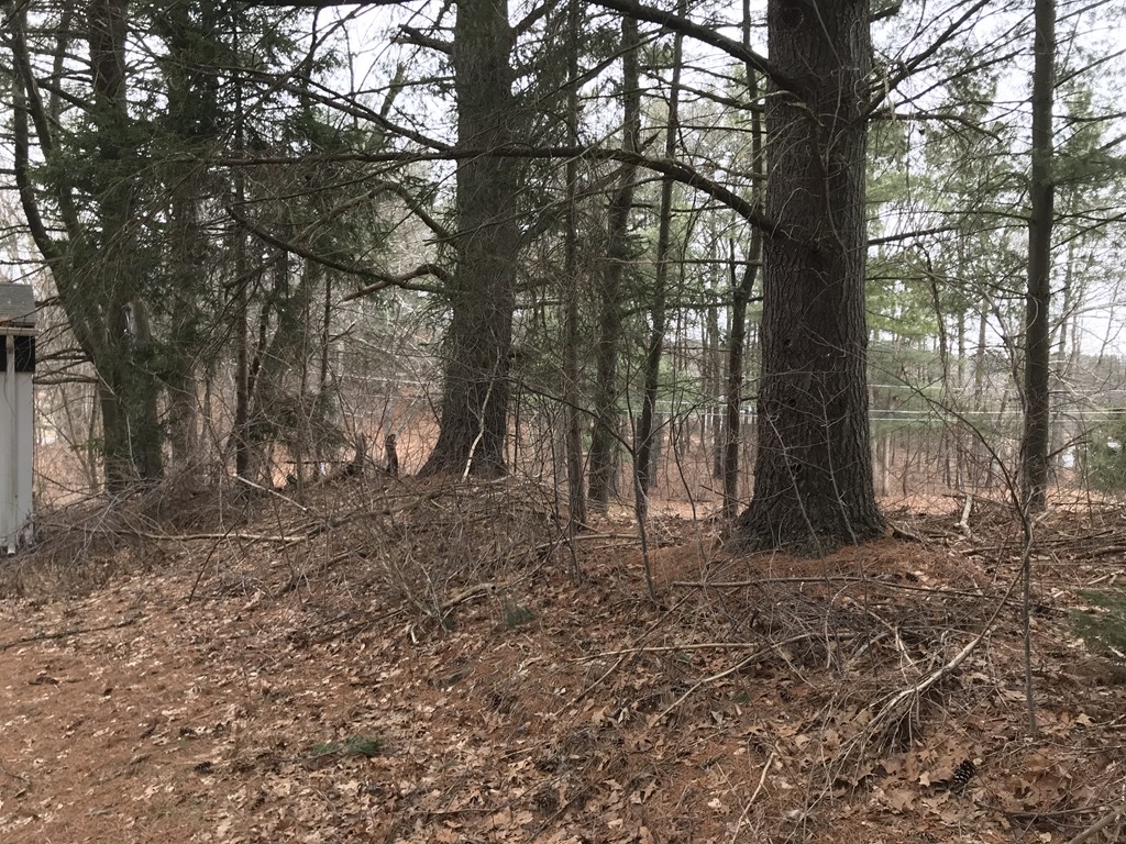 99 Bethany Road Monson, MA 01057 - Photo 14 of 16 Gallery Image 14