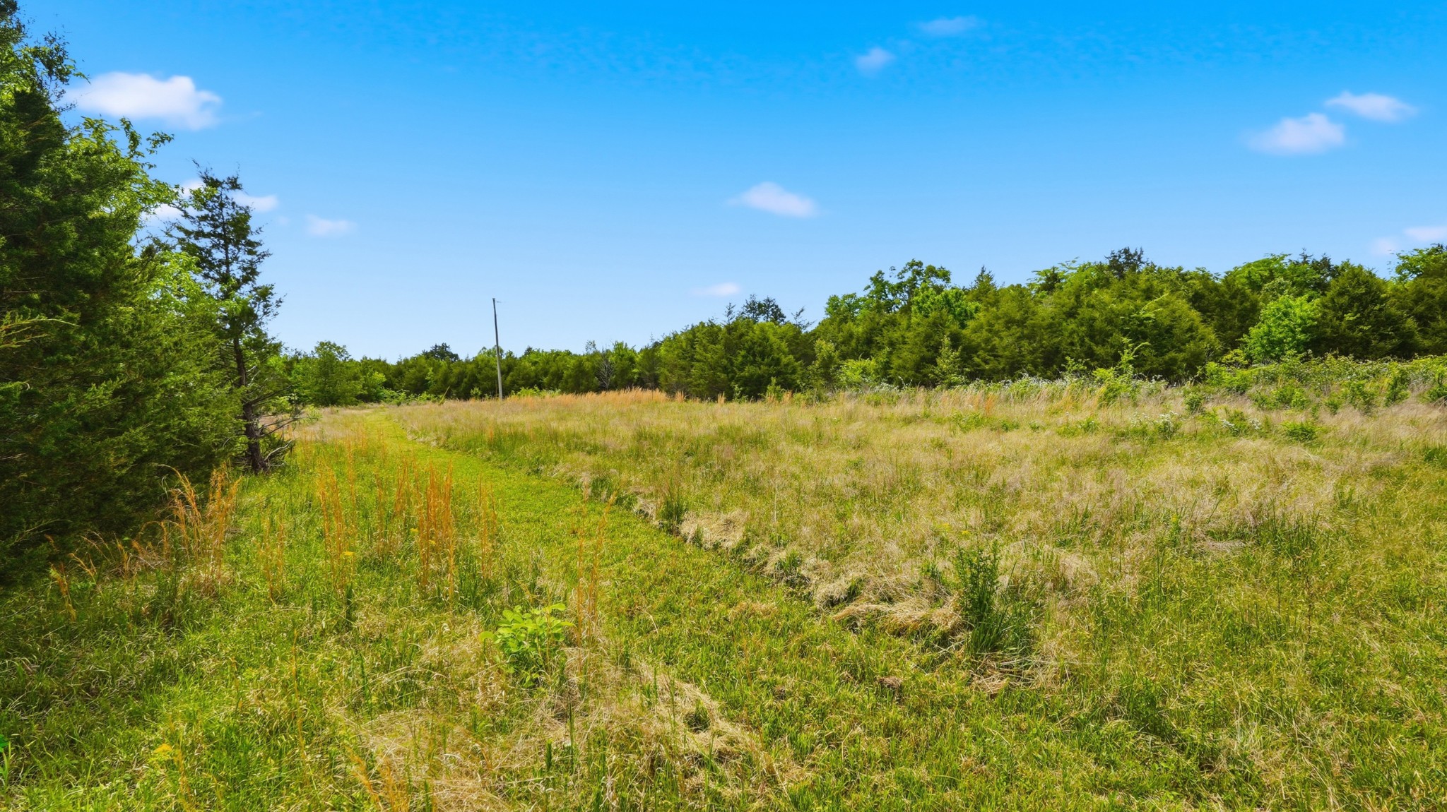 3630 West Trimble Road Milton, TN 37118 - Photo 36 of 36