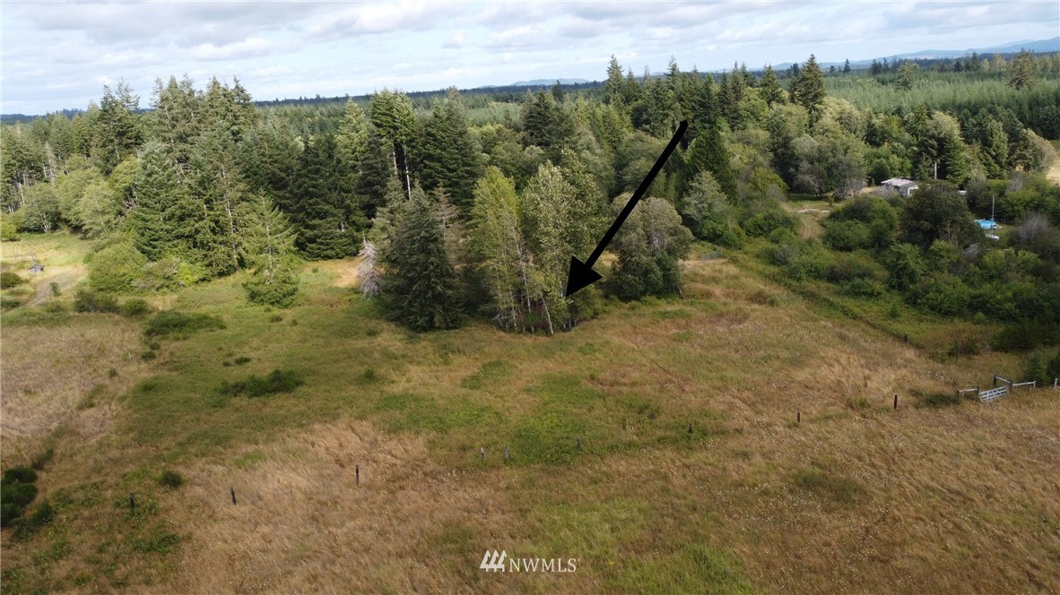 433 West Lucas Lane Elma, WA 98541 - Photo 2 of 6