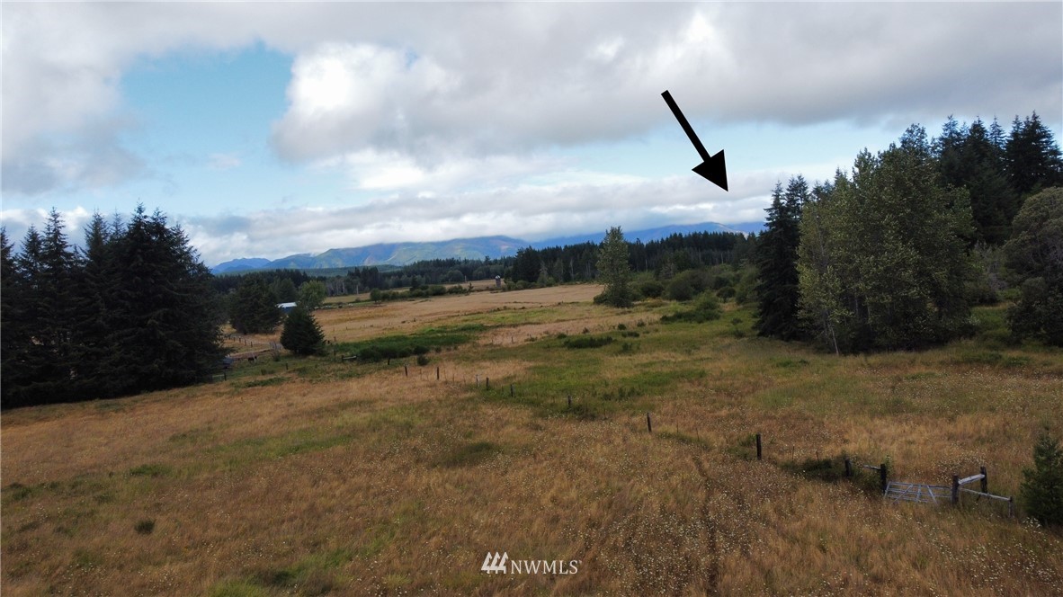 433 West Lucas Lane Elma, WA 98541 - Photo 4 of 6