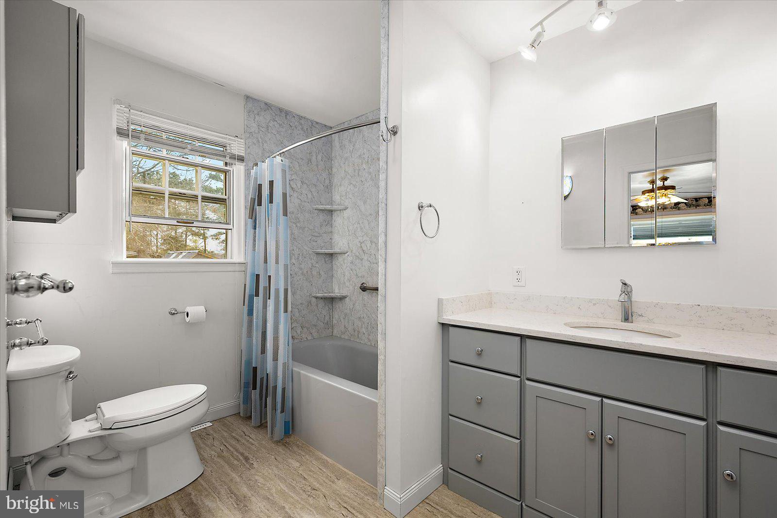 9554 Millard Long Road Westover, MD 21871 - Photo 22 of 69 a bathroom with a granite countertop sink toilet and shower