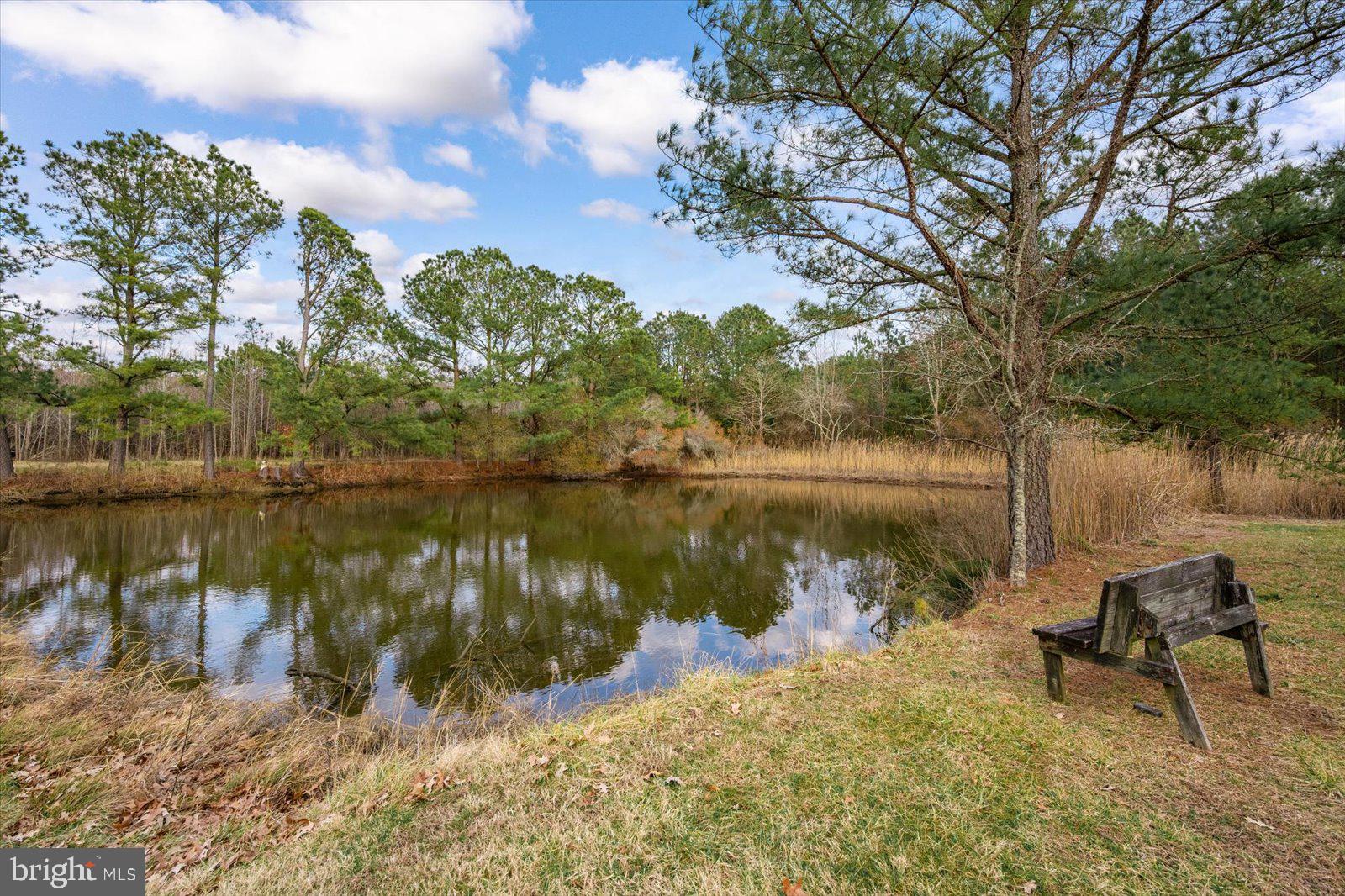 9554 Millard Long Road Westover, MD 21871 - Photo 37 of 69 Songbirds and Turtles hang out at the pond