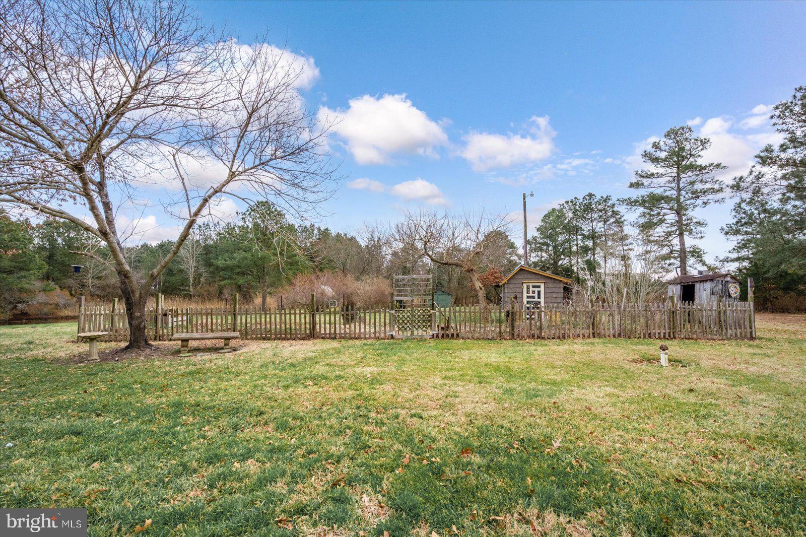 9554 Millard Long Road Westover, MD 21871 - Photo 40 of 69 a view of a yard with a house in the background