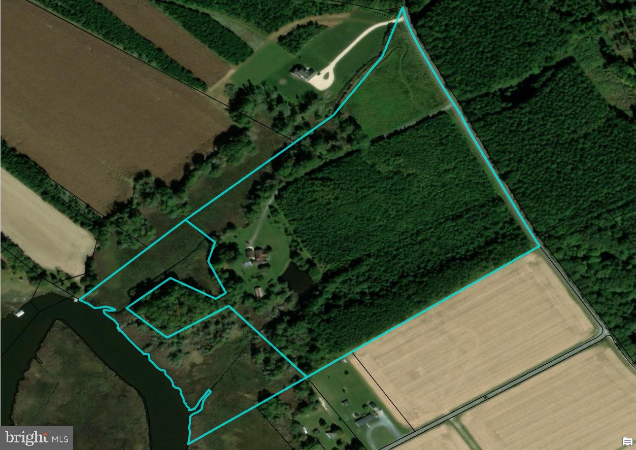 9554 Millard Long Road Westover, MD 21871 - Photo 41 of 69 Outline showing both Parcels