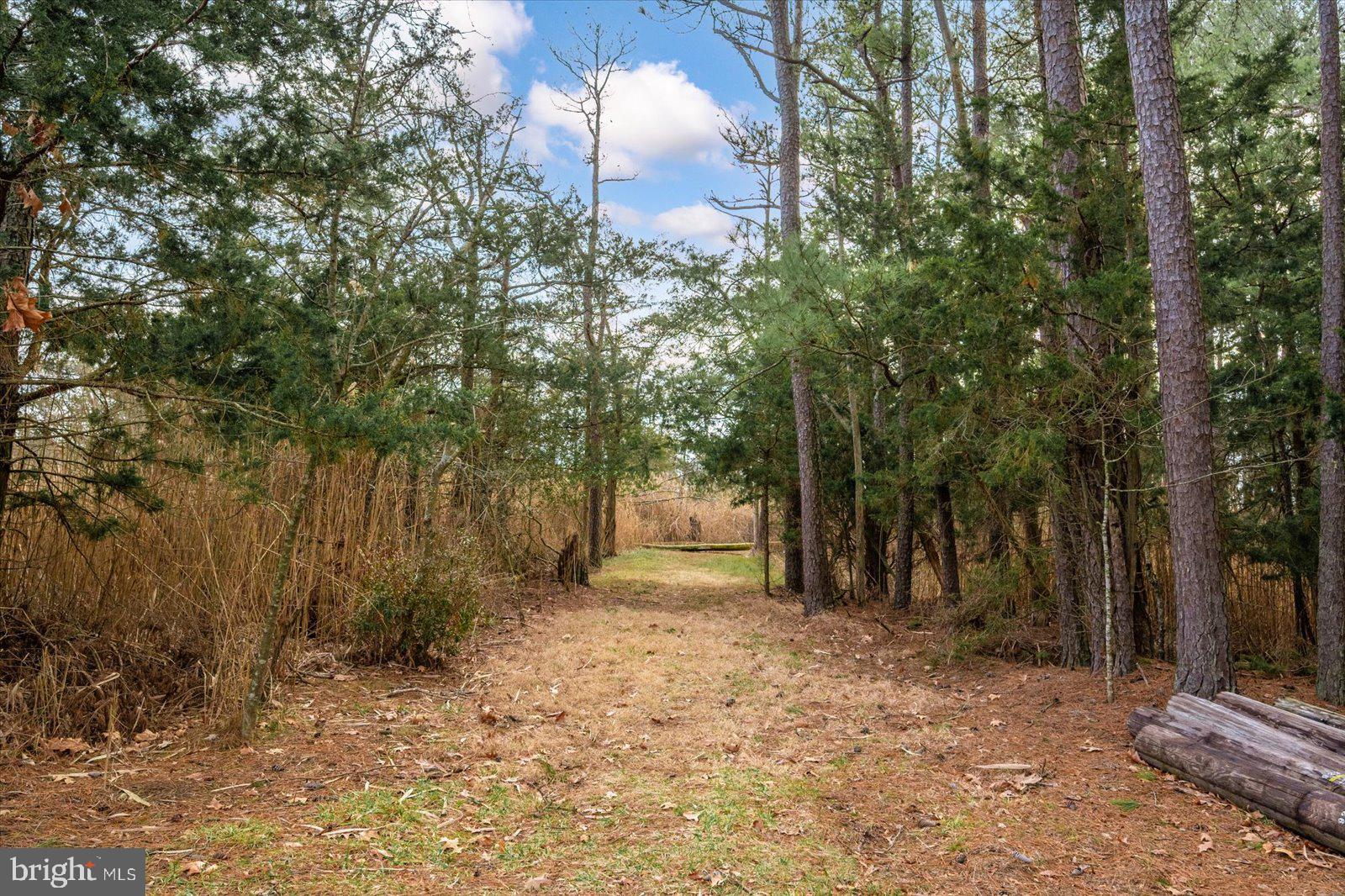 9554 Millard Long Road Westover, MD 21871 - Photo 43 of 69 a backyard of a house with lots of green space