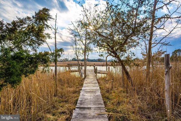 a view of a lake with a city