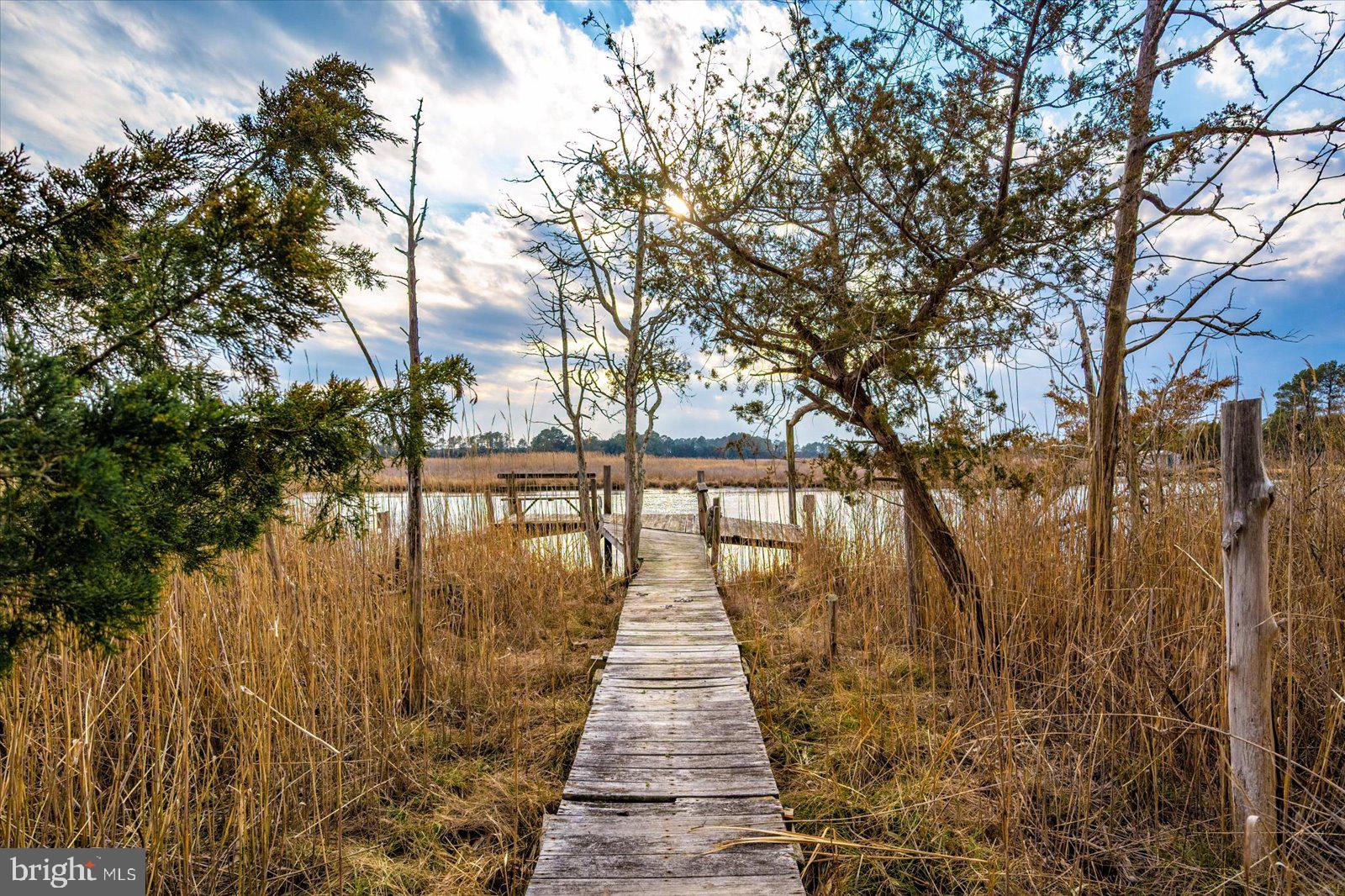 9554 Millard Long Road Westover, MD 21871 - Photo 44 of 69 The Water awaits