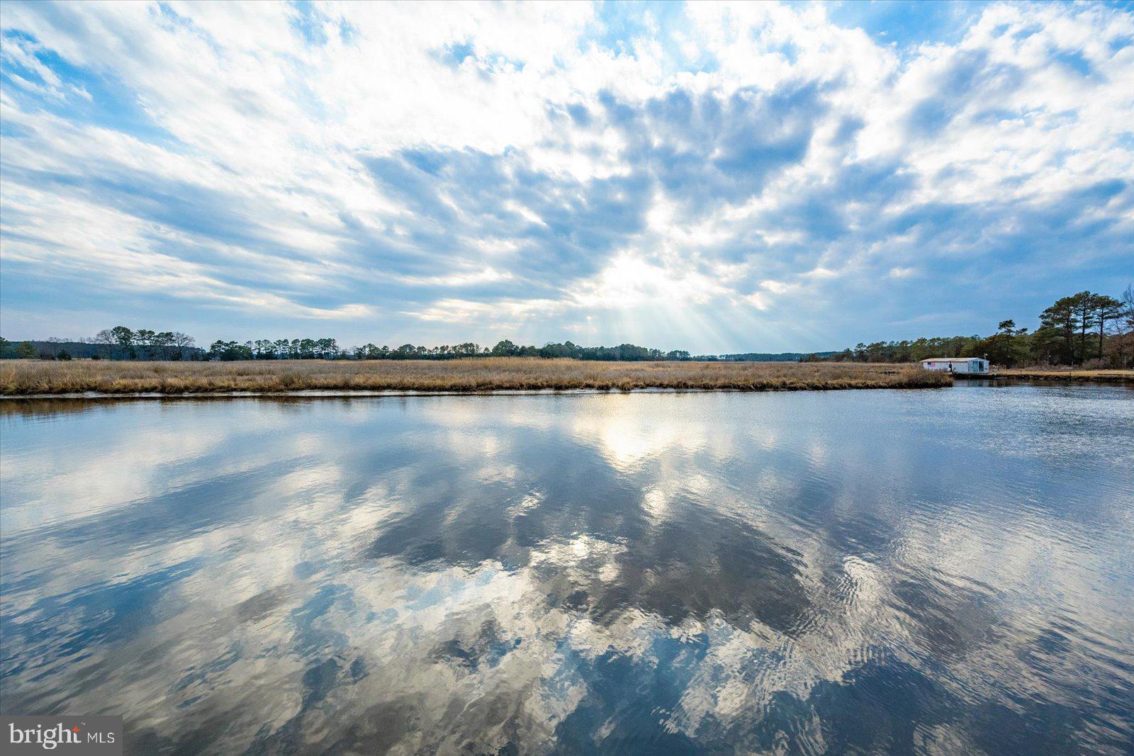 9554 Millard Long Road Westover, MD 21871 - Photo 46 of 69 or just take in the view