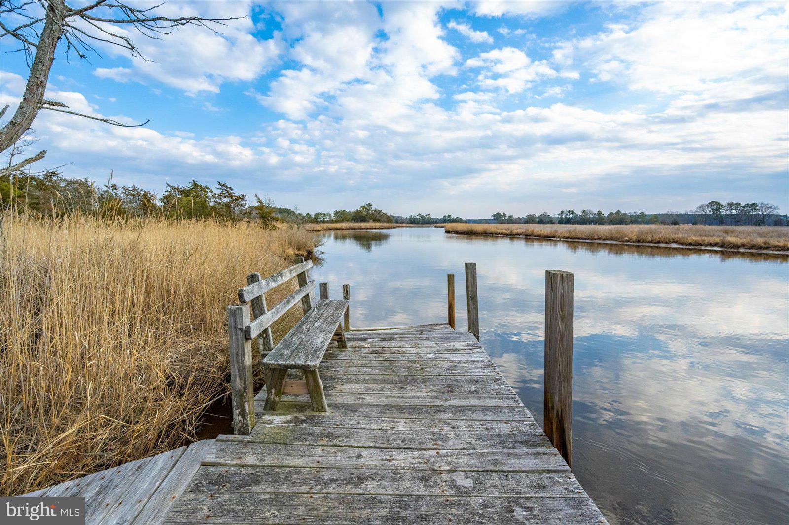 9554 Millard Long Road Westover, MD 21871 - Photo 47 of 69 a park with view of lake