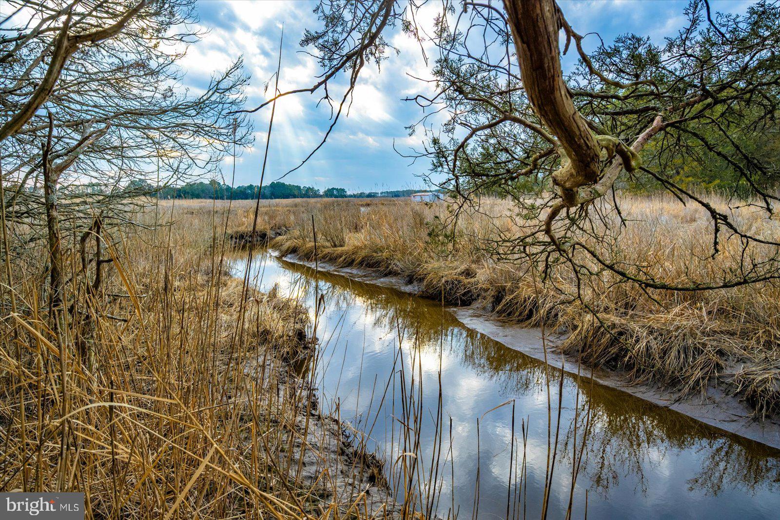 9554 Millard Long Road Westover, MD 21871 - Photo 48 of 69 a view of swimming pool from a lake view