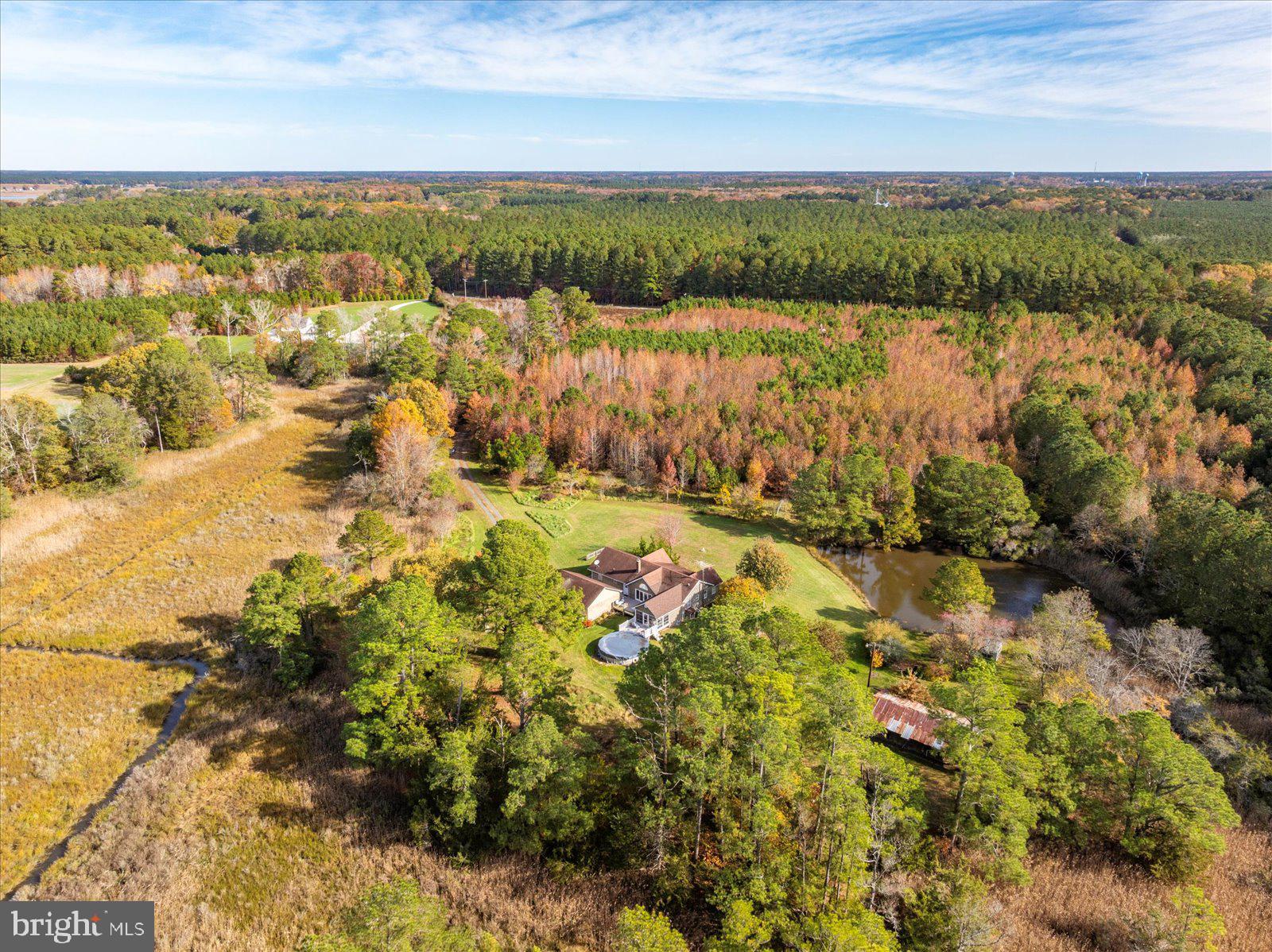 9554 Millard Long Road Westover, MD 21871 - Photo 52 of 69 yes those would be your woods