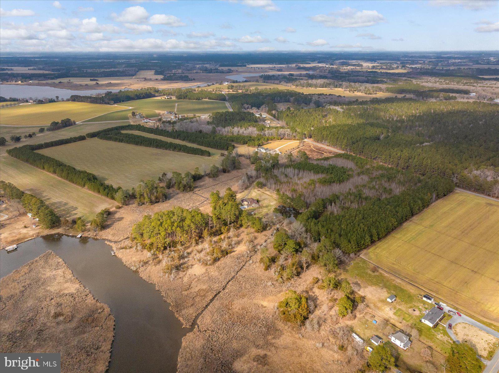 9554 Millard Long Road Westover, MD 21871 - Photo 55 of 69 I get a little lost up here