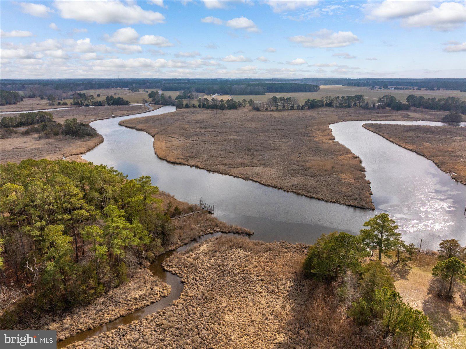 9554 Millard Long Road Westover, MD 21871 - Photo 60 of 69 a view of a beach with a yard