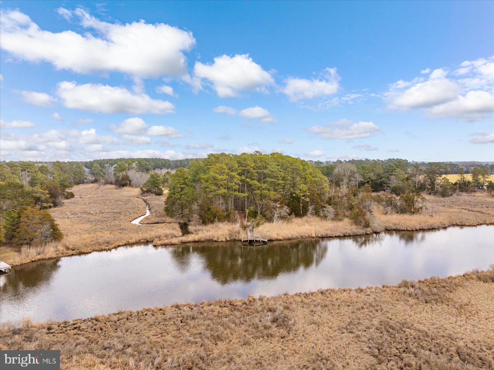 9554 Millard Long Road Westover, MD 21871 - Photo 62 of 69 Back Creek