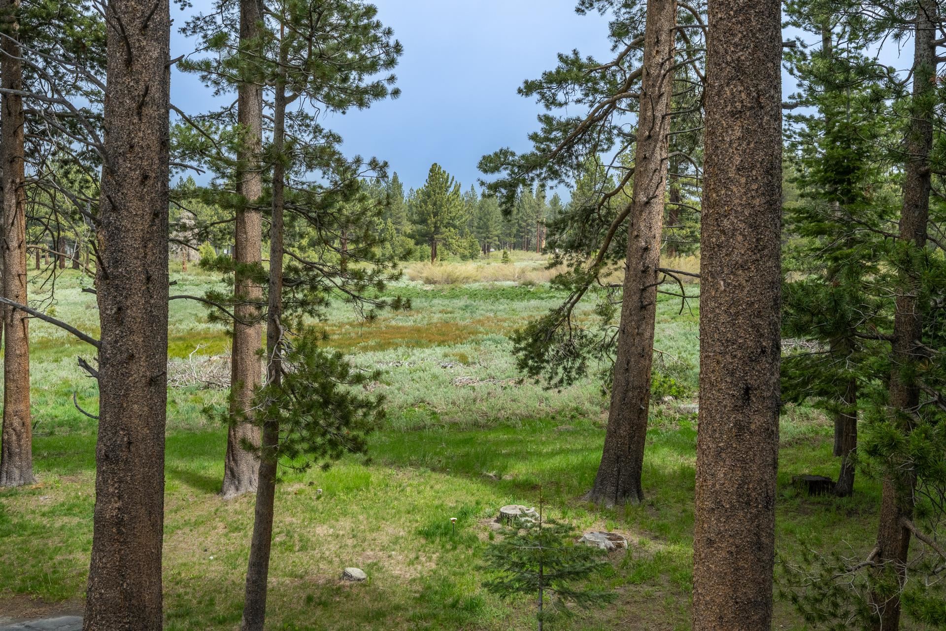 272 Ridge Way Mammoth Lakes, CA 93546 - Photo 19 of 55 Woodland setting with mature pine trees framing a verdant meadow