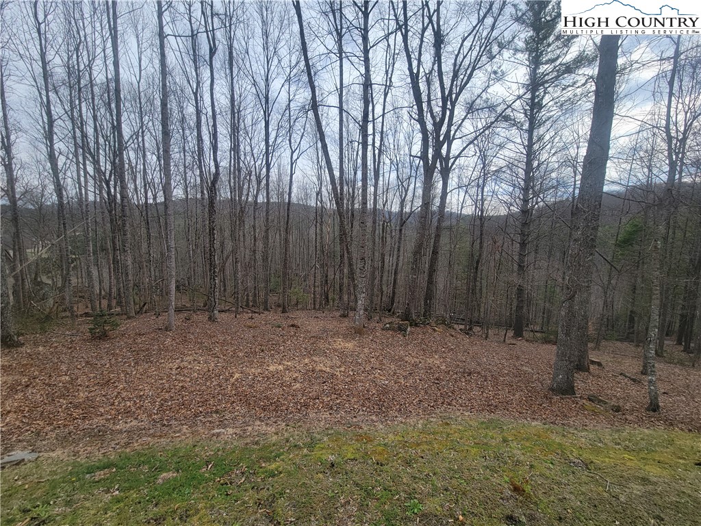 1729 Cranberry Creek Road Laurel Springs, NC 28644 - Photo 18 of 30
