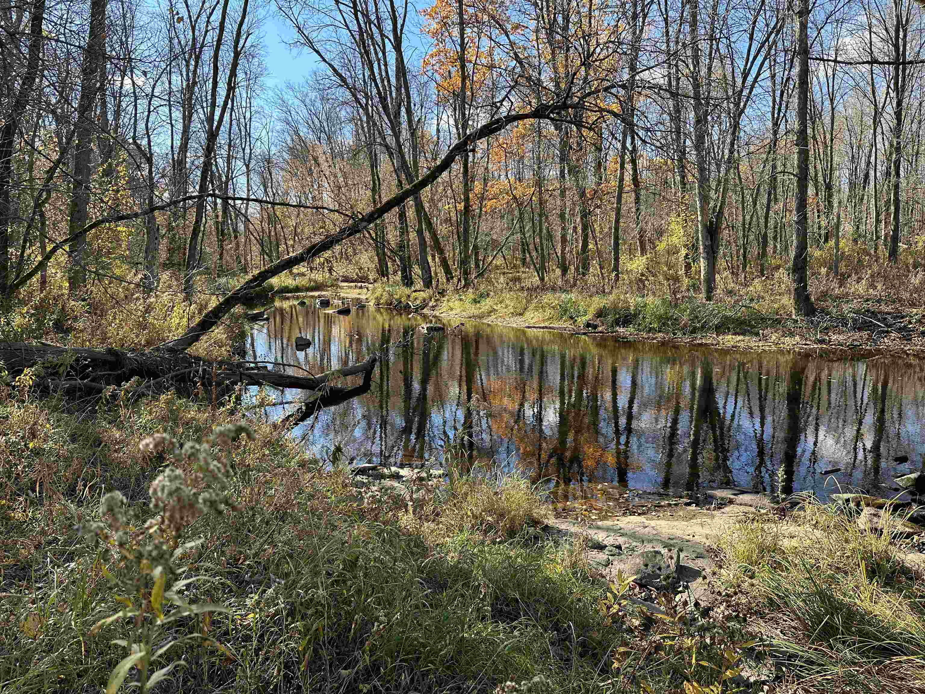 0 County Rd HH Vesper, WI 54489 - Photo 1 of 1