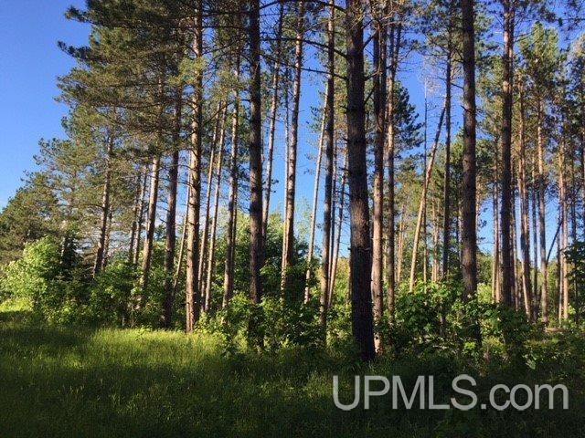Tbd Ruonavaara Road Lake Linden, MI 49945 - Photo 17 of 32 Gallery Image 17