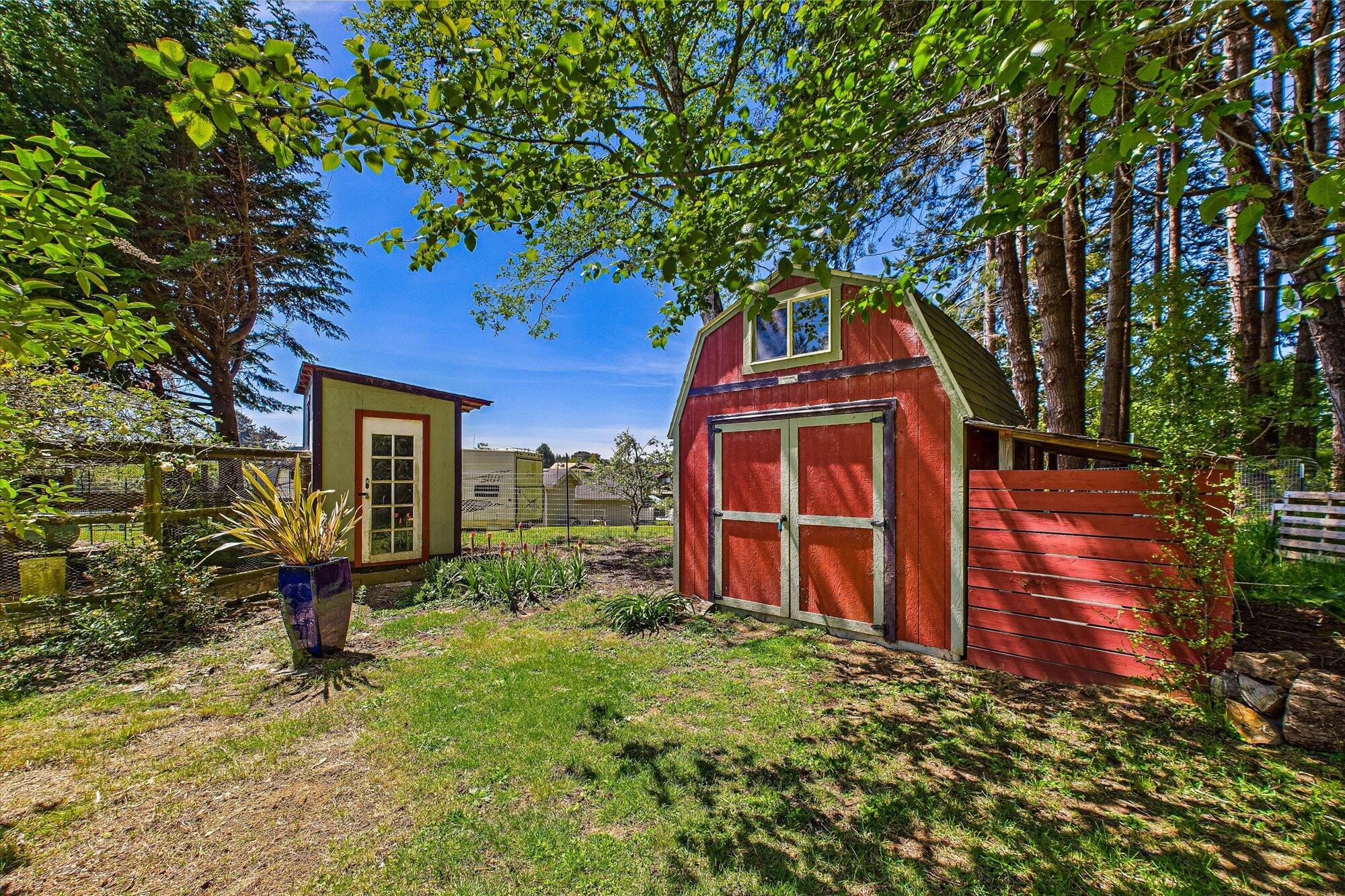 1945 Grange Road McKinleyville, CA 95519 - Photo 54 of 62 a view of a backyard with potted plants and large tree