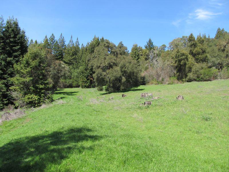 0 Two Two Bar Road Boulder Creek, CA 95006 - Photo 16 of 70 Gallery Image 16