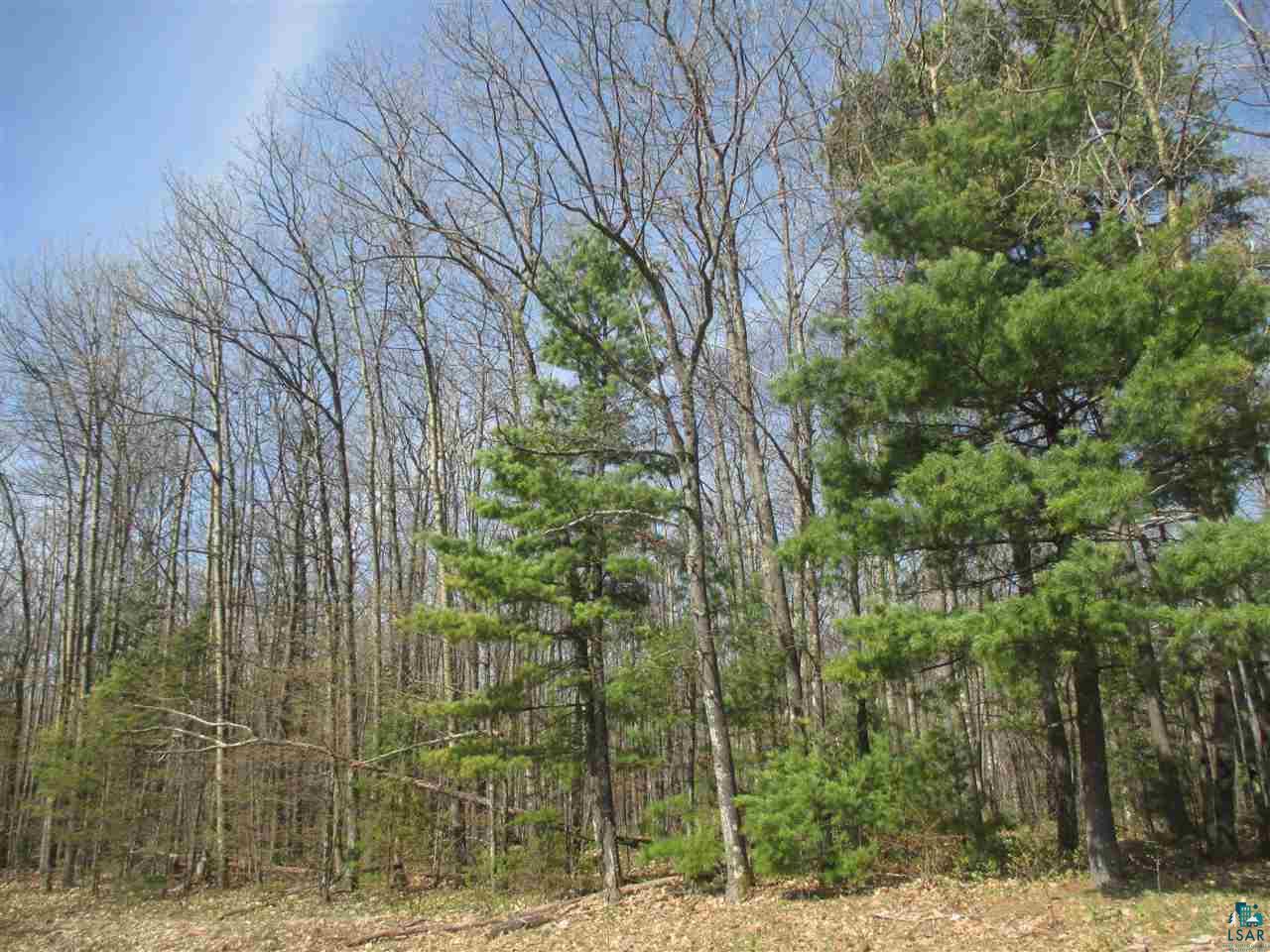 Lot 3 Betzold Road Bayfield, WI 54814 - Photo 1 of 21 Gallery Image 1