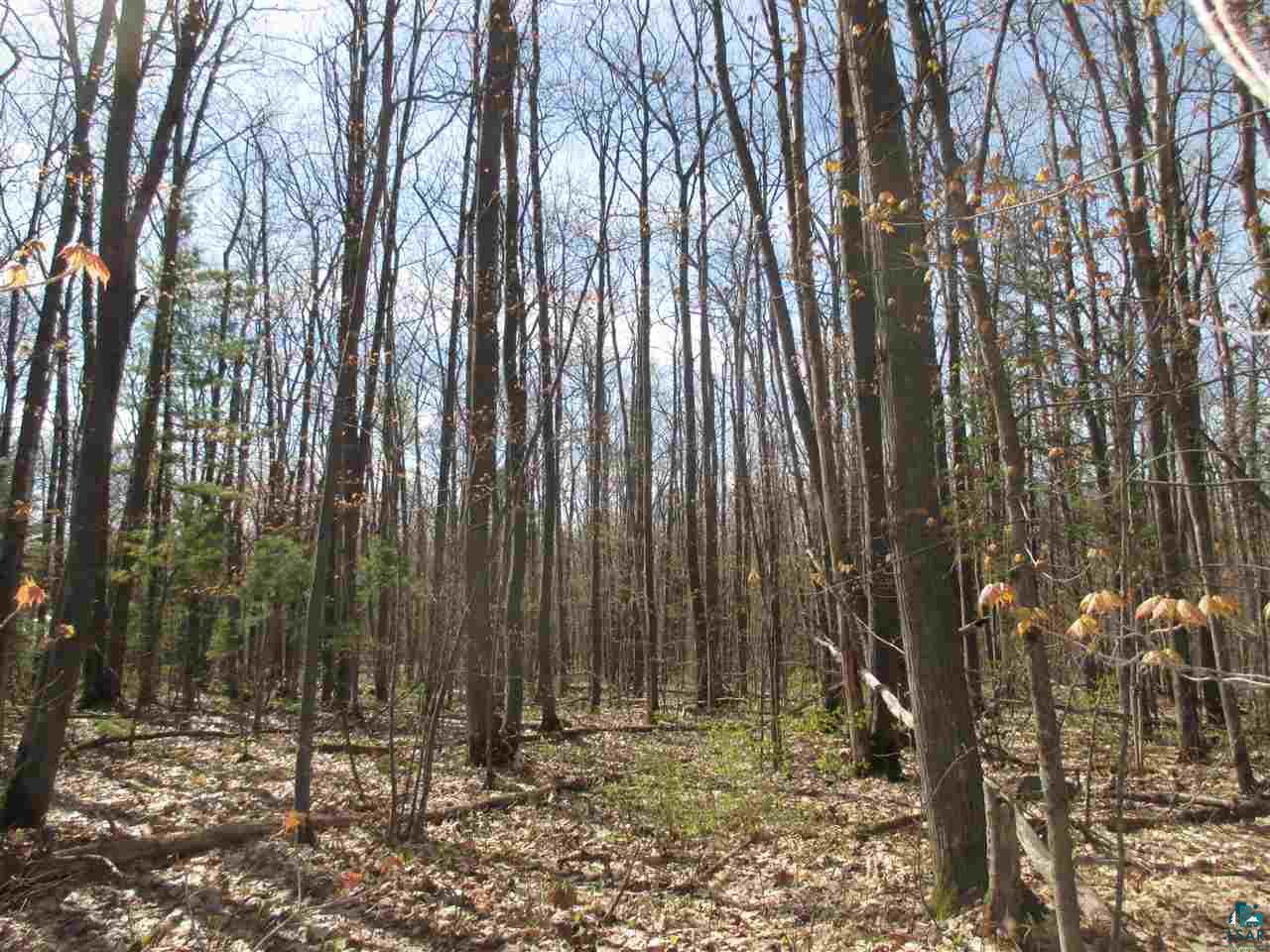 Lot 3 Betzold Road Bayfield, WI 54814 - Photo 11 of 21 Gallery Image 11