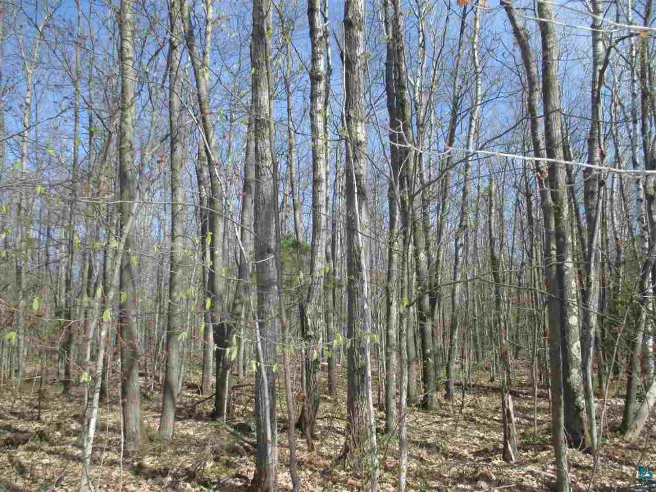 Lot 3 Betzold Road Bayfield, WI 54814 - Photo 18 of 21 Gallery Image 18