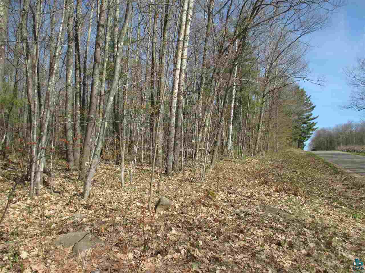 Lot 3 Betzold Road Bayfield, WI 54814 - Photo 20 of 21 Gallery Image 20