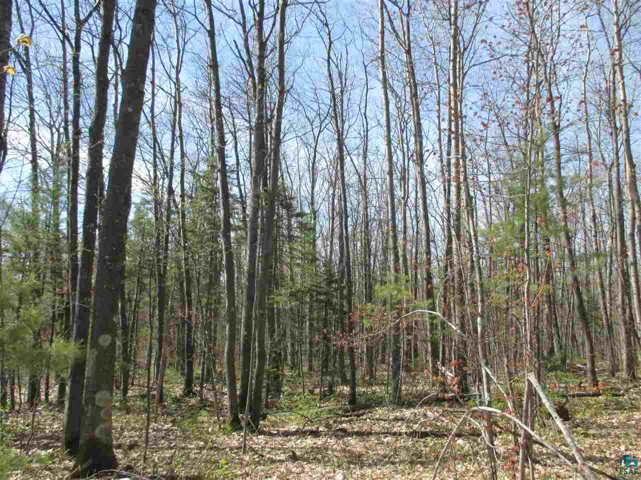 Lot 3 Betzold Road Bayfield, WI 54814 - Photo 2 of 21 Gallery Image 2
