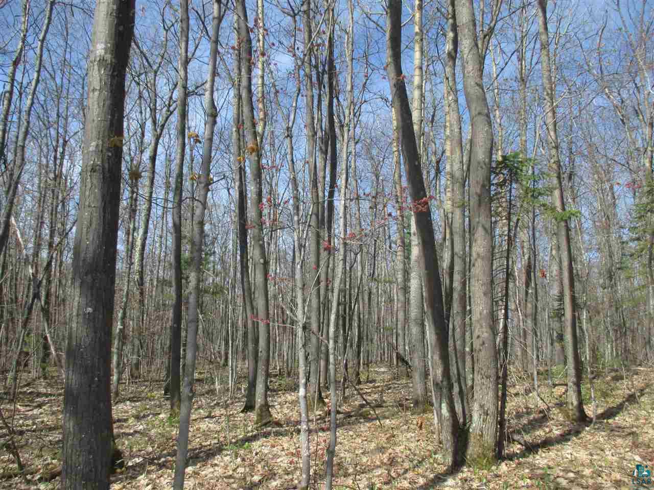 Lot 3 Betzold Road Bayfield, WI 54814 - Photo 4 of 21 Gallery Image 4