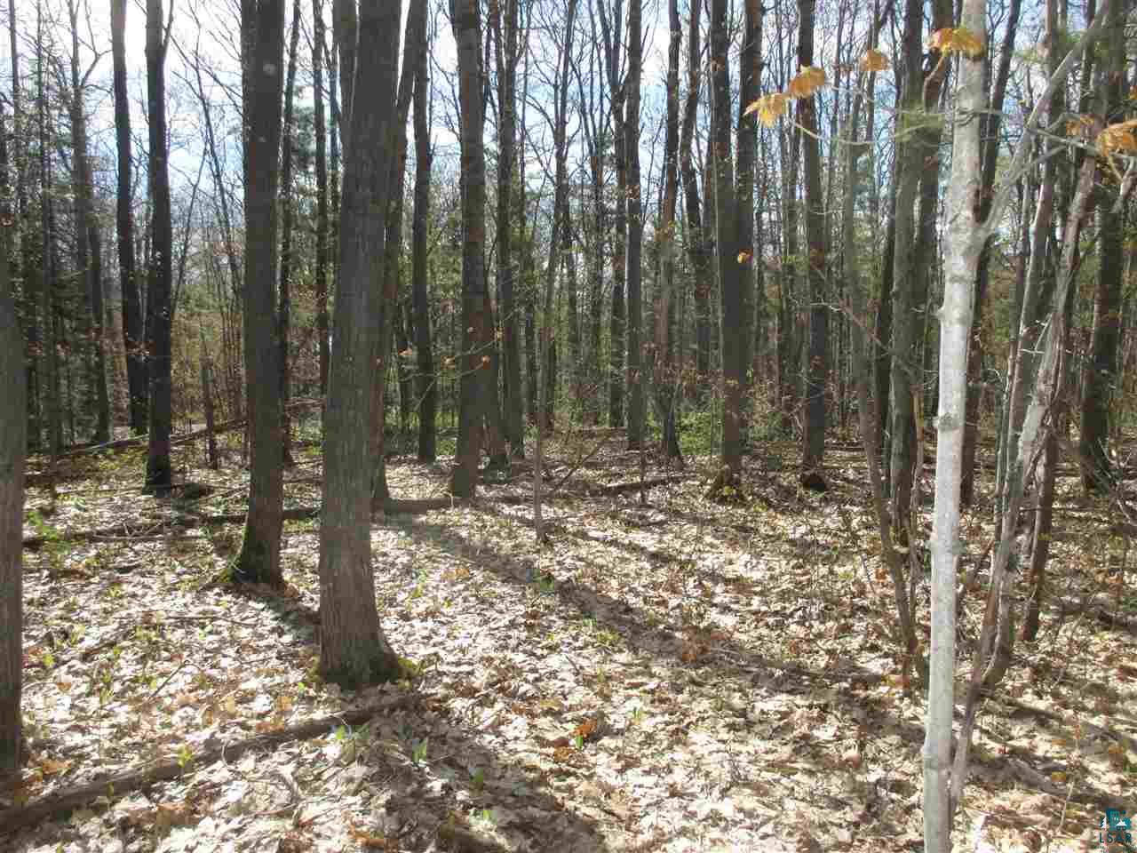 Lot 3 Betzold Road Bayfield, WI 54814 - Photo 5 of 21 Gallery Image 5
