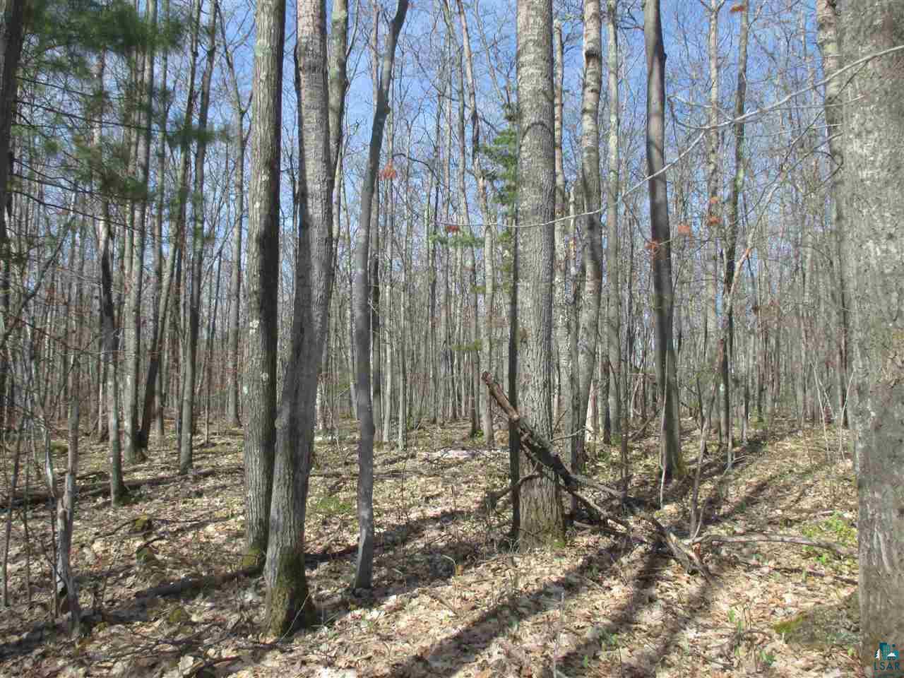 Lot 3 Betzold Road Bayfield, WI 54814 - Photo 7 of 21 Gallery Image 7
