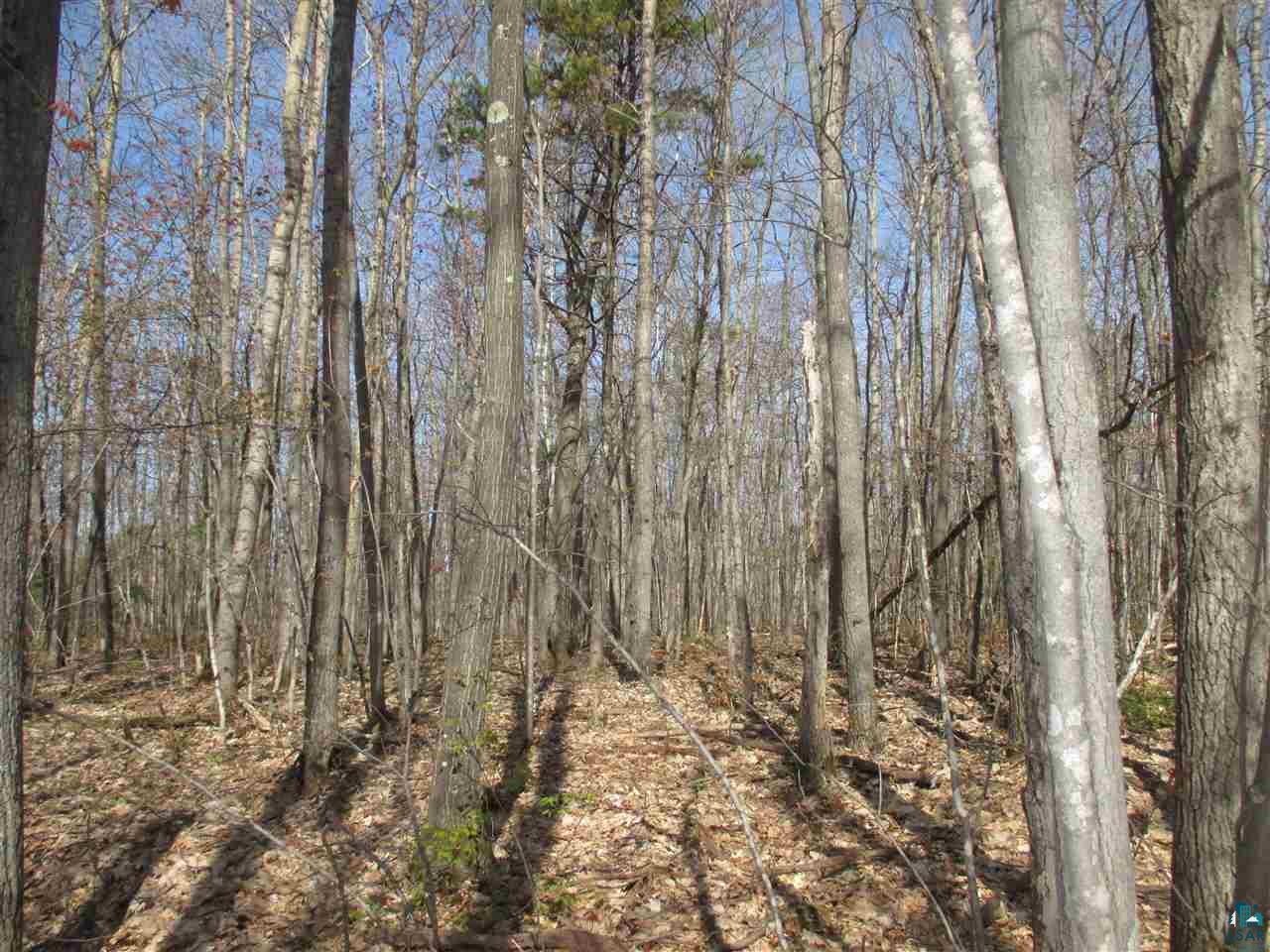 Lot 3 Betzold Road Bayfield, WI 54814 - Photo 8 of 21 Gallery Image 8