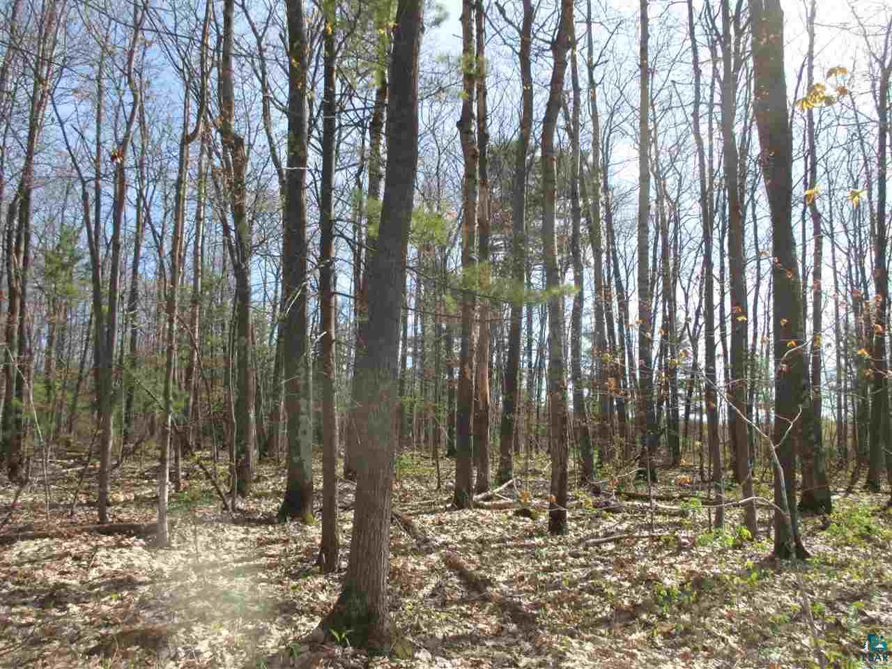 Lot 3 Betzold Road Bayfield, WI 54814 - Photo 9 of 21 Gallery Image 9